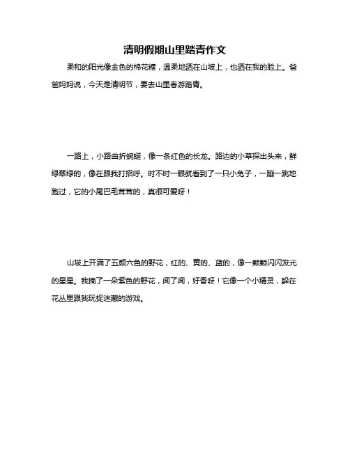 清明假期山里踏青作文