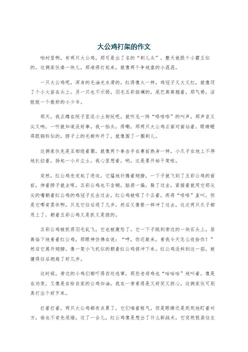 大公鸡打架的作文