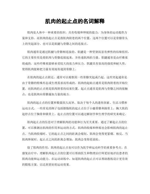 肌肉的起止点的名词解释