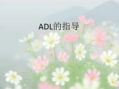 ADL指导