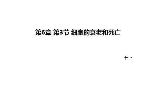 6.3细胞的衰老和死亡课件高一上学期生物人教版必修1