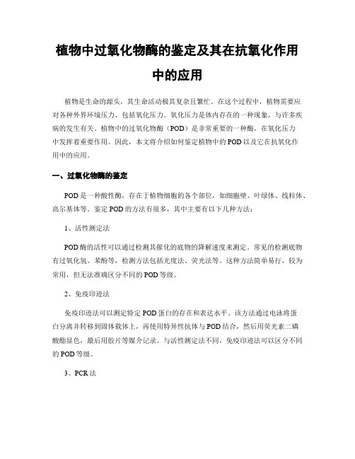 植物中过氧化物酶的鉴定及其在抗氧化作用中的应用