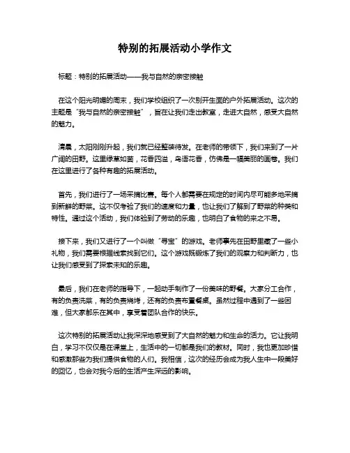 特别的拓展活动小学作文