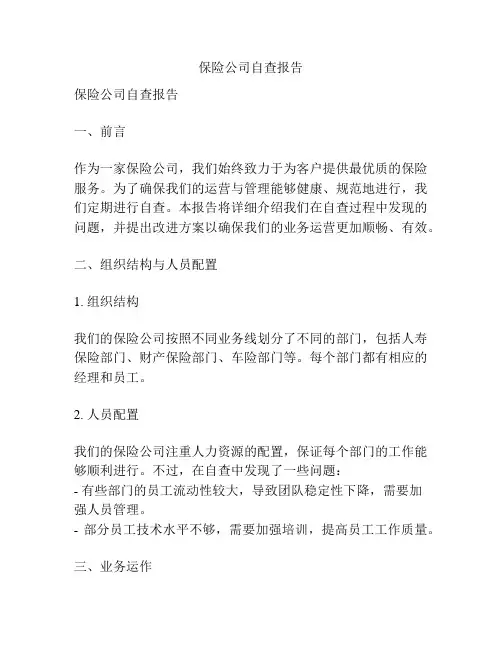 保险公司自查报告