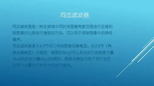 同态滤波