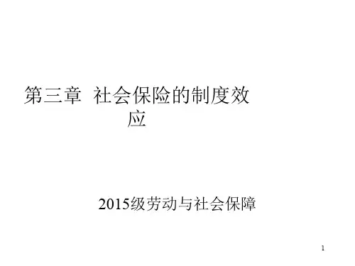 第三章社会保险的制度效应ppt课件