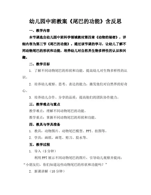 幼儿园中班教案《尾巴的功能》含反思