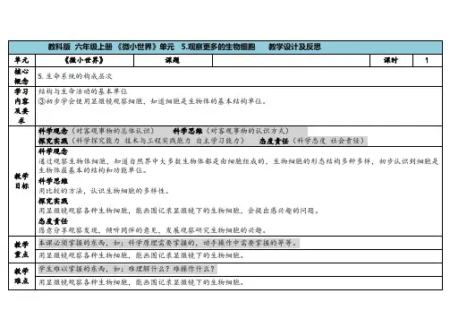 第5课《观察更多生物细胞》教学设计教科版六年级科学上册