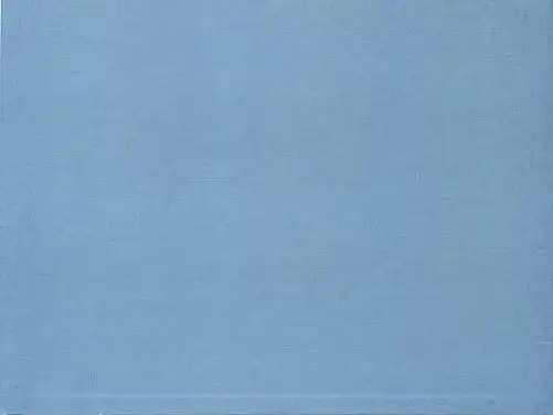 绘本故事ppt-鲸鱼