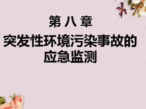 突发性环境污染事故的应急监测(ppt 36页)
