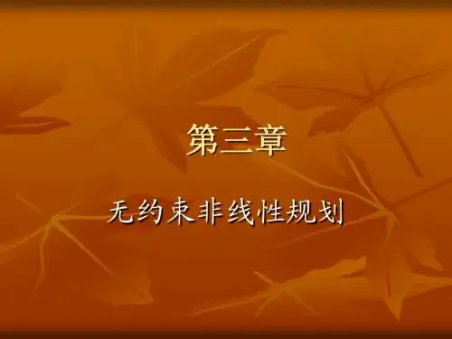 【课件】运筹学与最优化方法(华南理工)第3章(07-4)