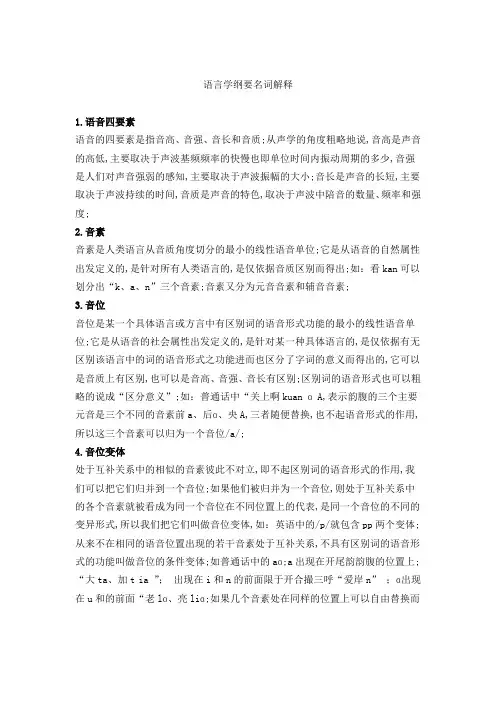 语言学纲要名词解释