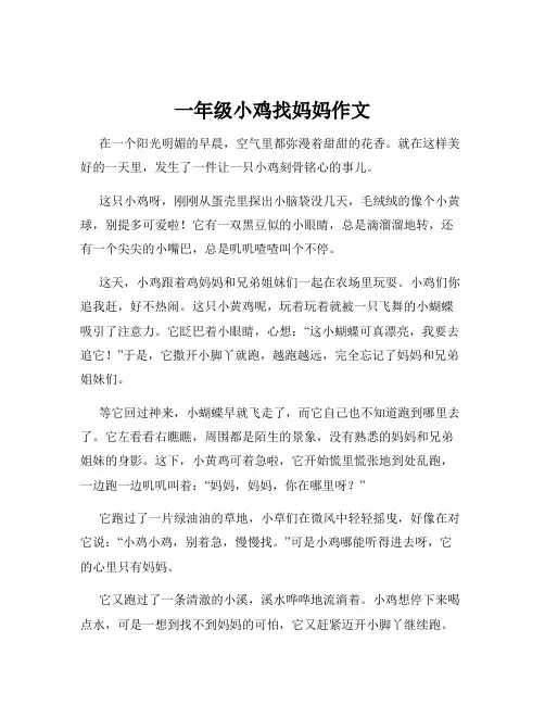 一年级小鸡找妈妈作文