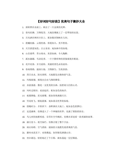 【好词好句好段】优美句子摘抄大全