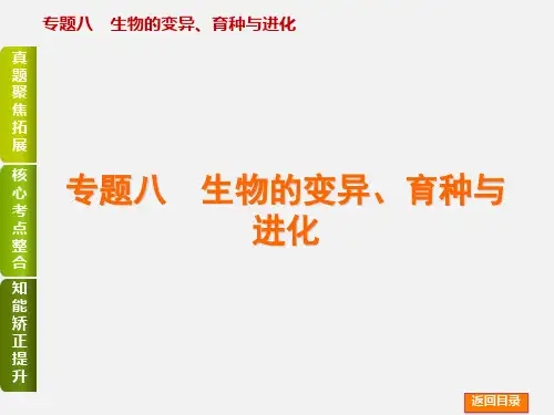 高考生物 二轮复习 专题讲练 第4单元 生物的遗传、变异和进化 8 生物的变异育种与进化