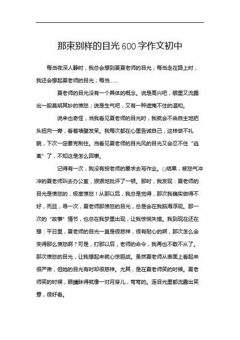 那束别样的目光600字作文初中
