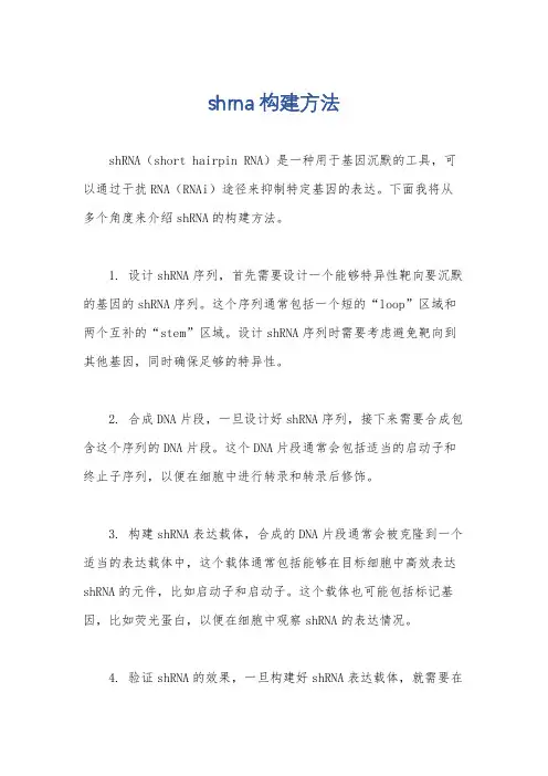 shrna构建方法