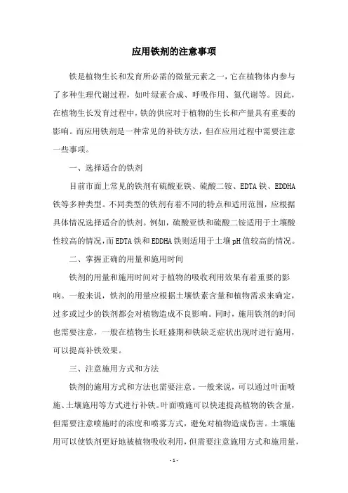 应用铁剂的注意事项
