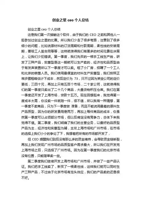 创业之星ceo个人总结