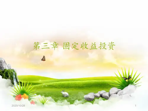 第三章 固定收益投资 ppt课件