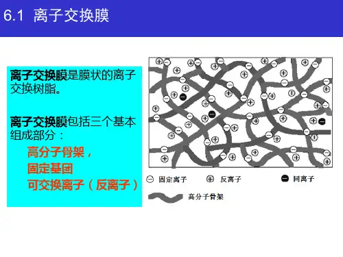 离子交换膜分离技术ppt课件.ppt