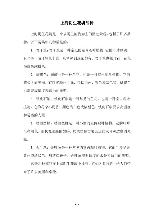 上海阴生花境品种