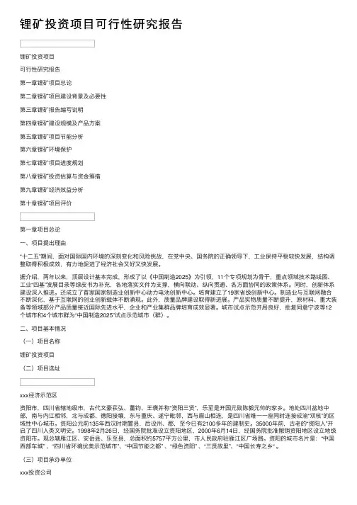 锂矿投资项目可行性研究报告