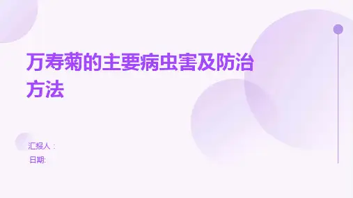 万寿菊的主要病虫害及防治方法