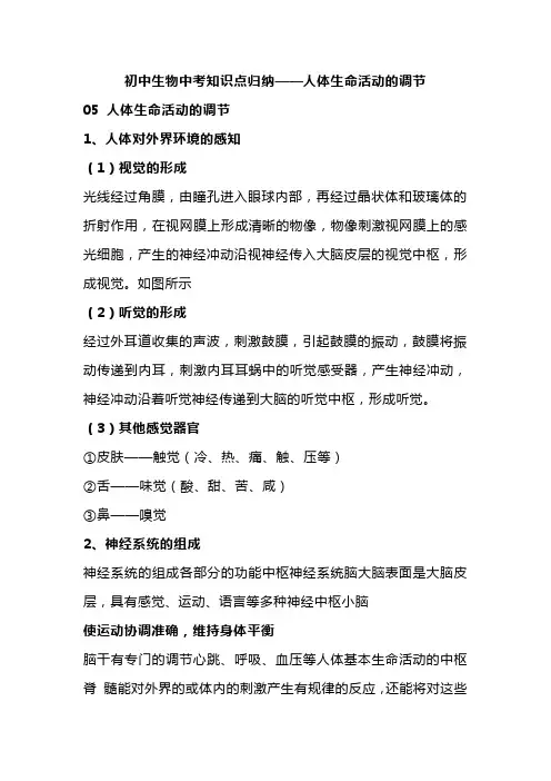 初中生物中考知识点归纳——人体生命活动的调节