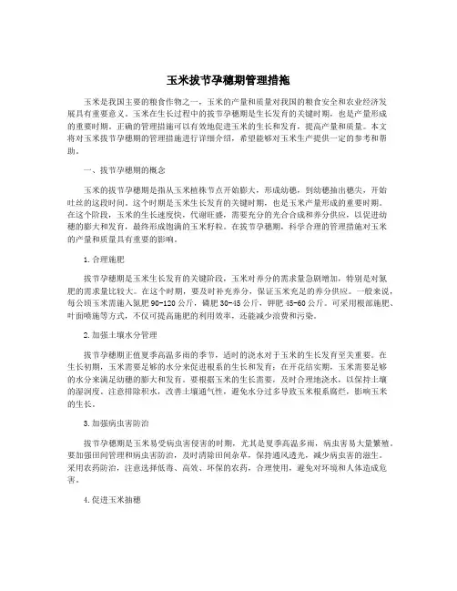 玉米拔节孕穗期管理措拖