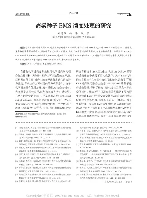 高粱种子EMS诱变处理的研究