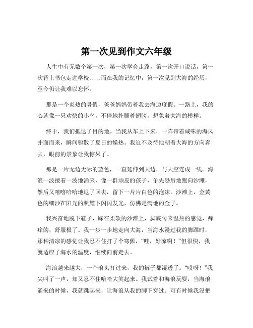 第一次见到作文六年级