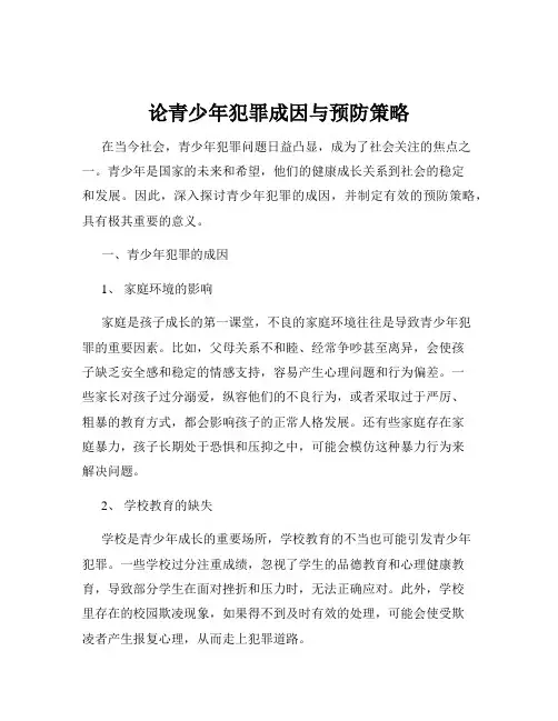 论青少年犯罪成因与预防策略
