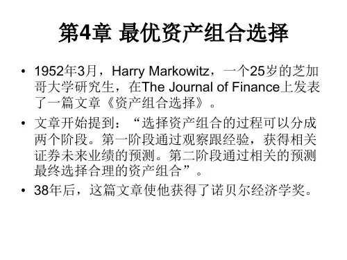 最优资产组合选择培训课件