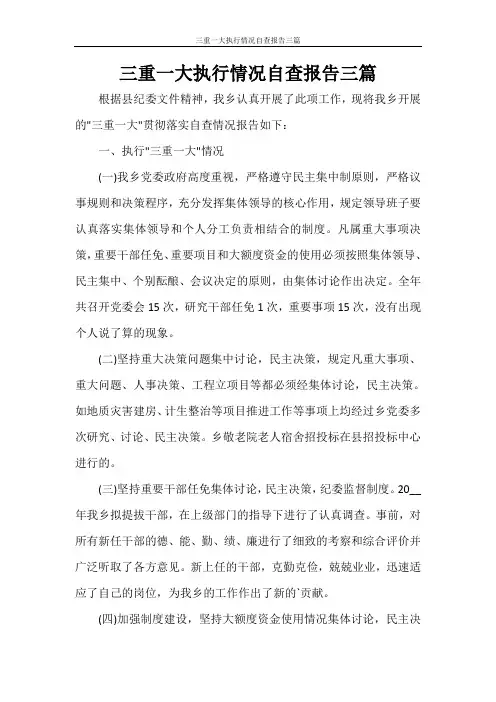 三重一大执行情况自查报告三篇