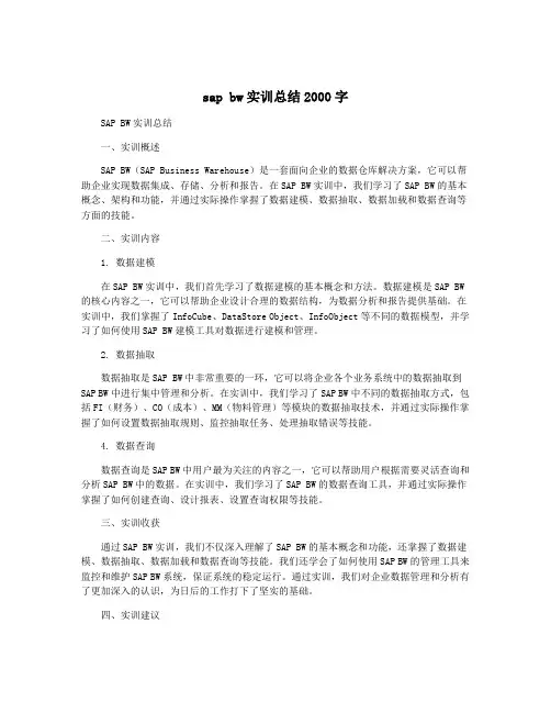 sap bw实训总结2000字