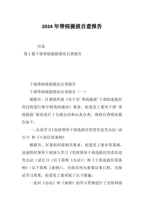 2024年带病提拔自查报告