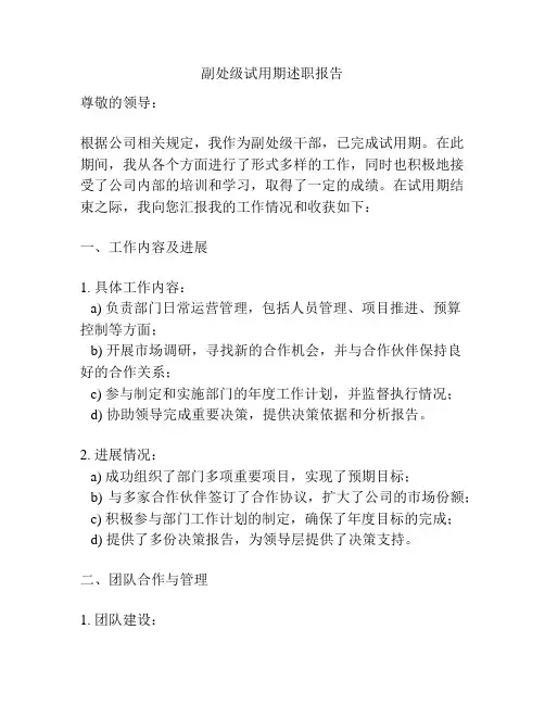 副处级试用期述职报告