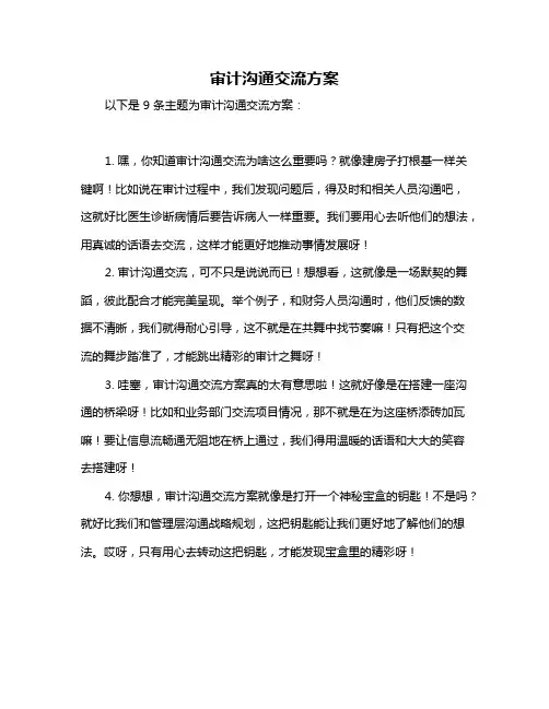 审计沟通交流方案