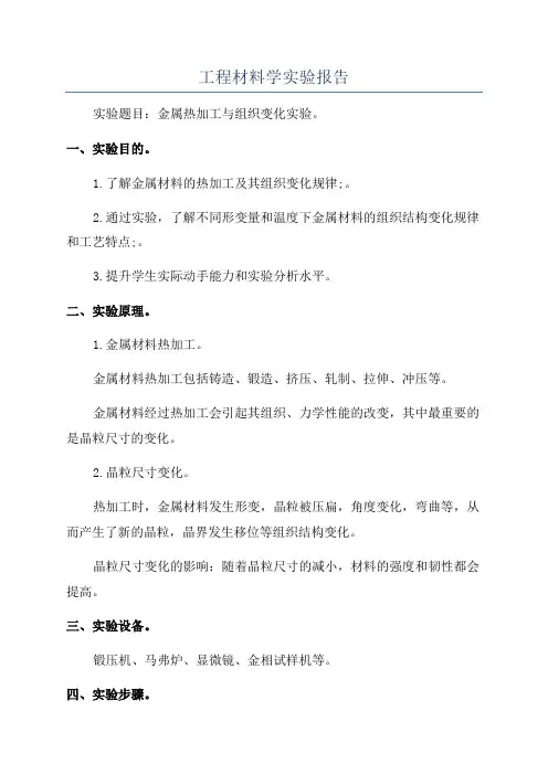 工程材料学实验报告