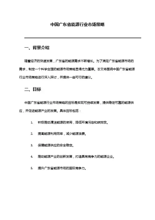 中国广东省能源行业市场策略