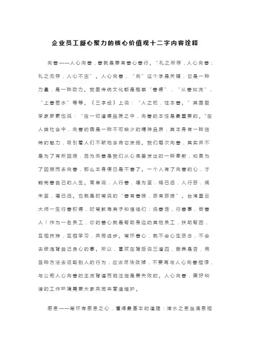 企业员工凝心聚力的核心价值观十二字内容诠释