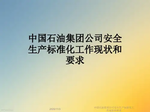 中国石油集团公司安全生产标准化工作现状和要求