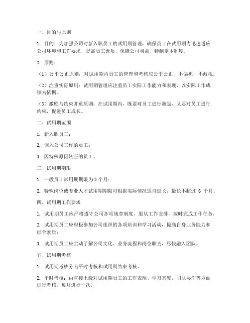 科技类公司试用期管理制度