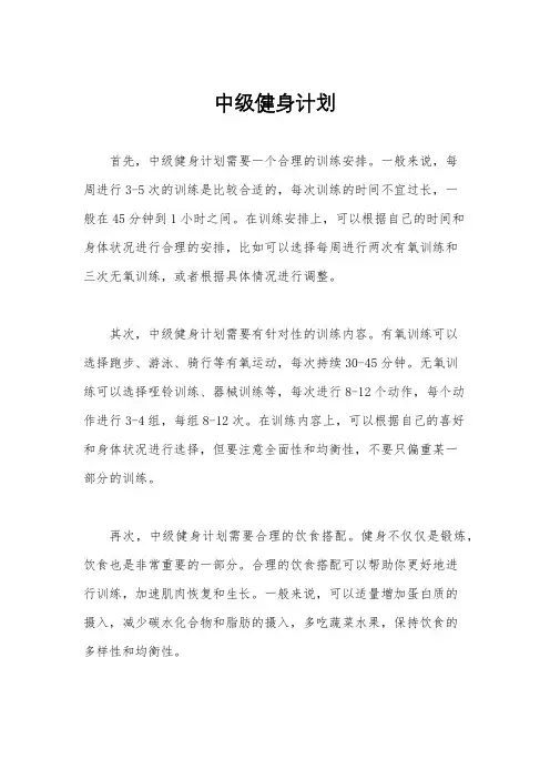 中级健身计划