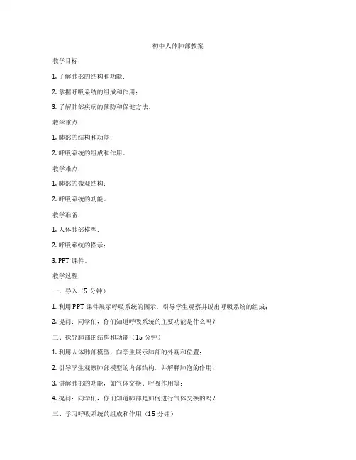 初中人体肺部教案