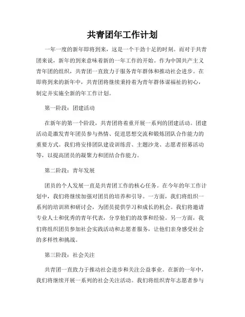 共青团年工作计划
