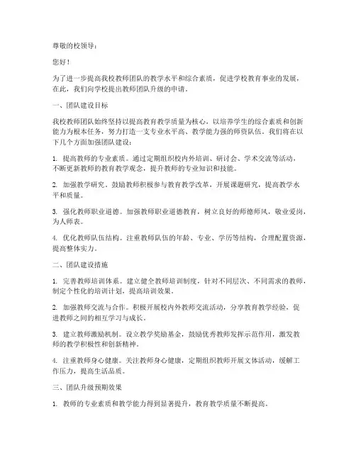 教师团队升级申请书范文