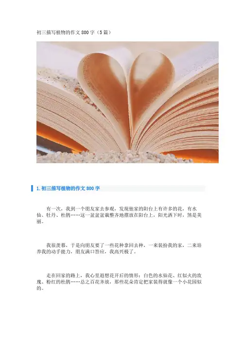 初三描写植物的作文800字(5篇)_转自DOCX