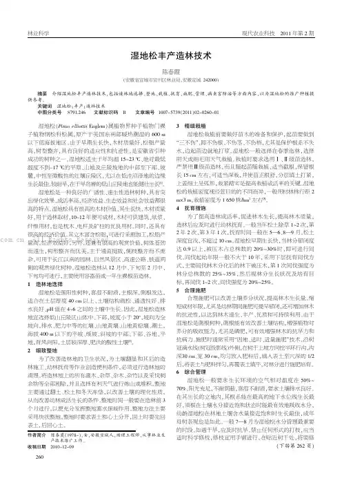 湿地松丰产造林技术